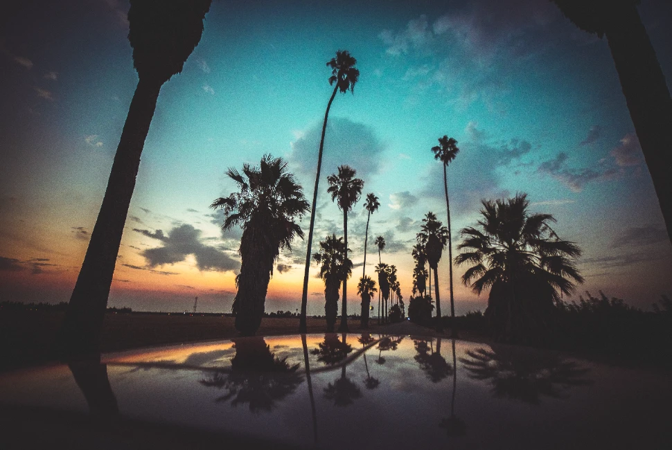 Road Trips from Manteca, CA: Adventures Beyond the City Limits