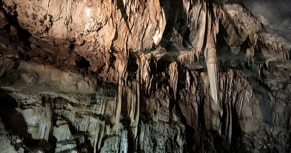 Your First Week in Manteca, CA: Best Things to See and D