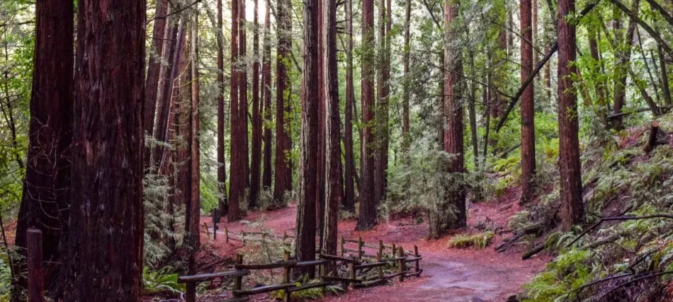 Your First Week in Manteca, CA: Best Things to See and D