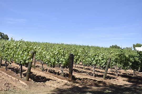 Tour image 9