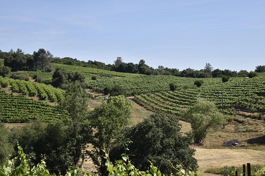 Tour image 2