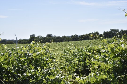 Tour image 1