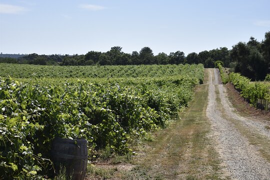 Tour image 11