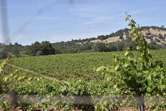 Tour image 5